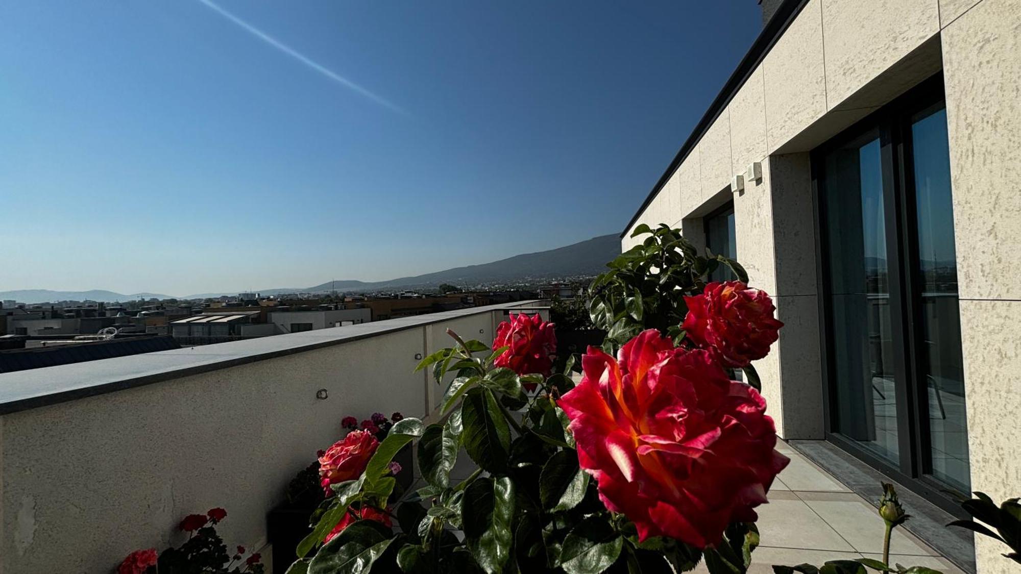 Blue Star Luxury Hotel Sofia Exterior foto
