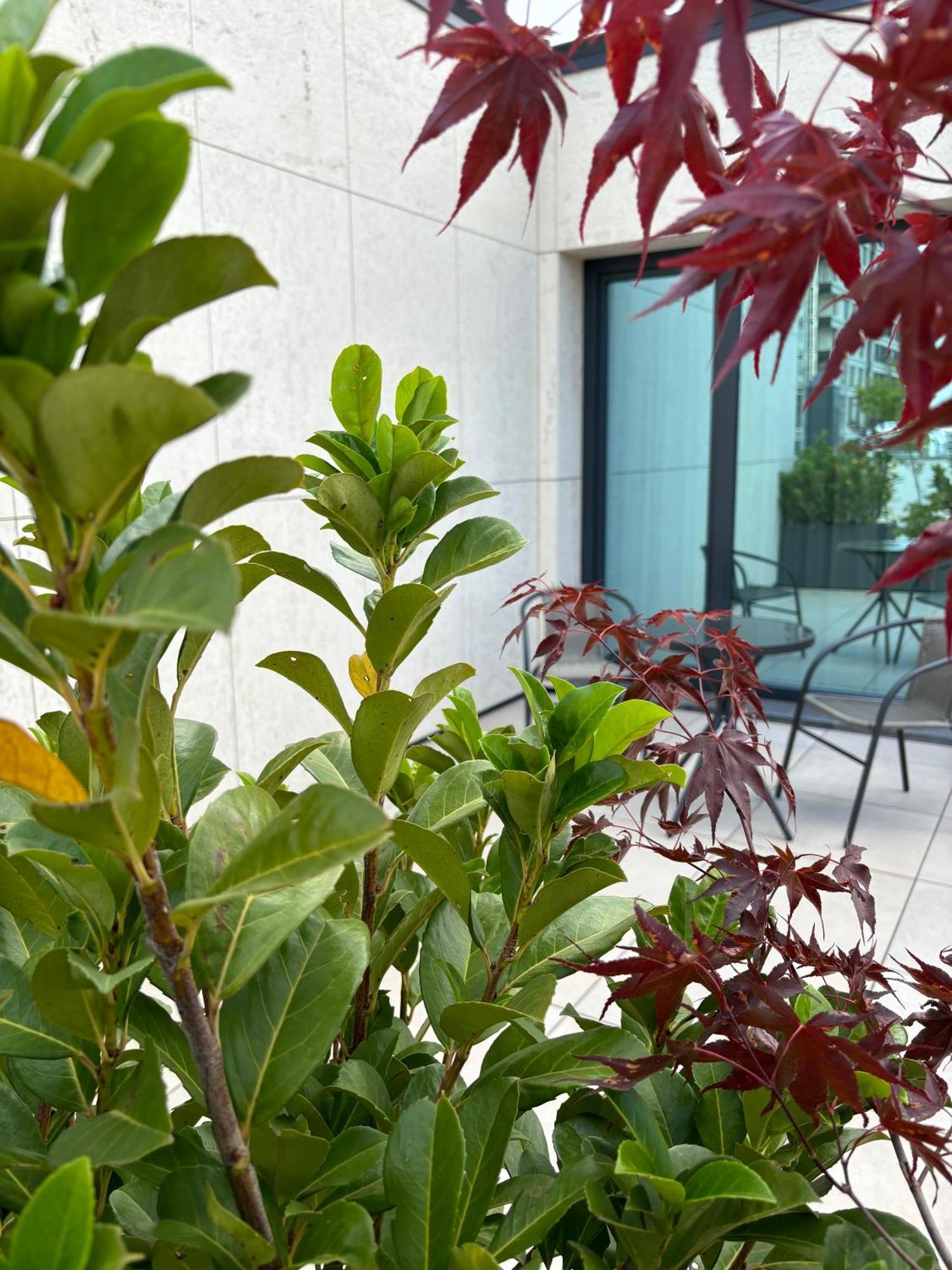 Blue Star Luxury Hotel Sofia Exterior foto